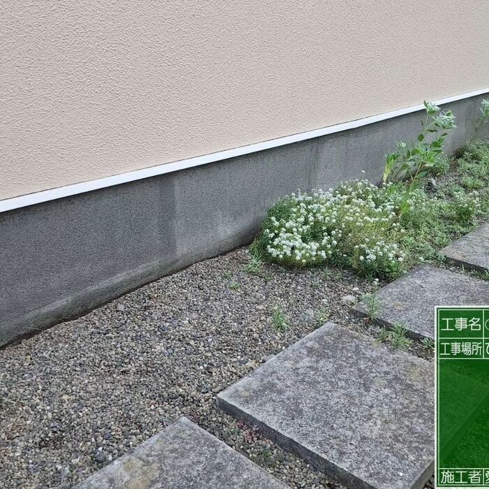 最新のサービス情報や日々の様子を更新