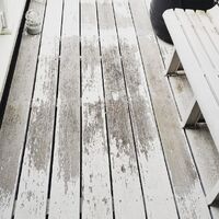 最新のサービス情報や日々の様子を更新