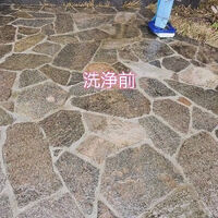 最新のサービス情報や日々の様子を更新