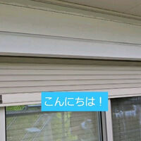 最新のサービス情報や日々の様子を更新