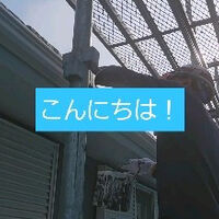最新のサービス情報や日々の様子を更新